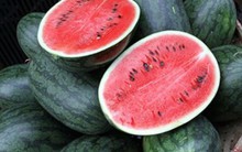 Mùa hè, chọn sao cho đúng dưa hấu chín ngọt tự nhiên: Không cần gõ, nhìn vào 1 vị trí là biết ngay