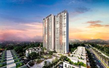 Chưa từng có: Doanh nghiệp lãi tăng 6.740 lần, chi cổ tức gấp 2,6 lần vốn điều lệ