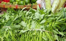 Loại rau rẻ tiền nhưng tốt ngang nhân sâm, chợ bán 5.000 đồng/mớ, không ăn là phí của trời