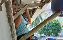 Không phải rắn, đây mới là "sát thủ" có thể chui ra từ điều hòa nhà bạn