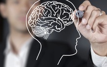 Nghiên cứu: 4 CÁCH nhanh nhất để phát triển não bộ, giúp IQ tăng vun vút, trở nên nhạy bén hơn