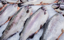 Sau sầu riêng, thêm một mặt hàng 'siêu thực phẩm' từ Việt Nam thành đối thủ lớn của Thái Lan: Thu hơn 91 triệu USD chỉ trong 1 tháng, Mỹ, châu Âu đều cực kỳ ưa chuộng