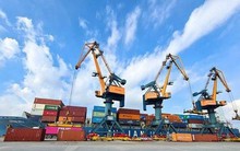 Hải An (HAH) chốt trả cổ tức 40%, sản lượng khai thác quý 2 tăng trên 20%