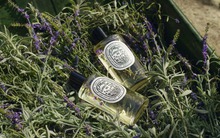 Thương hiệu nước hoa cao cấp Pháp tung BST mùa hè đầy chất thơ, hứa hẹn được những tín đồ yêu mùi hương “săn đón”