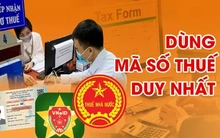 Định danh cá nhân thay thế mã số thuế từ 1/7 ra sao?