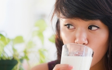 Uống sữa mỗi ngày, nhưng bạn đã chọn đúng loại chưa? Sữa A2, nguyên chất hay sữa chua, đâu là "vua dinh dưỡng"?