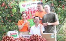 Phó Chủ tịch tỉnh Bắc Giang cũng xuống vườn livestream bán vải: Chốt đơn hàng chục tấn chỉ trong một buổi sáng