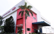 Công ty CP Bibica tự nguyện tháo dỡ nhà xưởng