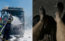 Lời xin lỗi của chủ xe khách giường nằm bốc cháy ngùn ngụt trên cao tốc và phản ứng khó tin của cộng đồng mạng: "Quãng thời gian tồi tệ nhất trong hơn 20 năm làm nghề..."