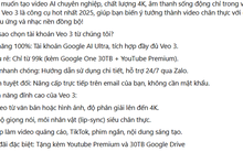 Mua tài khoản tạo video AI Veo3, Midjourney giá rẻ, cẩn thận rủi ro