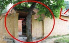 Trước nhà phạm "tứ kỵ" thì tài lộc sớm đội nón ra đi, gia chủ không ốm đau cũng hao tài