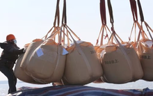 Vừa áp thuế 15% với Mỹ, một loại nông sản của Trung Quốc bất ngờ gặp khó: Sản lượng thấp nhất 7 năm, tiêu thụ hàng đầu thế giới