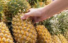 Dứa vào mùa, dùng AI chọn quả ngon ngọt chưa chắc đã đúng, nhưng nghe lời mách này của chuyên gia thì chỉ có "chuẩn"!