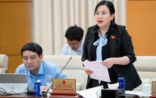 Bà Nguyễn Thanh Hải: Táo bán ở tiệm đắt tiền, mua về để mấy tháng không hỏng, ruồi nhặng còn chê