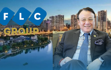 Loạt động thái bất ngờ của FLC, Tân Hoàng Minh