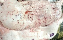 Từ vụ C.P. bị tố bán heo bệnh: Chỉ đạo mới từ Bộ Nông nghiệp và Môi trường