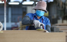 Cải cách thể chế mạnh hơn nữa