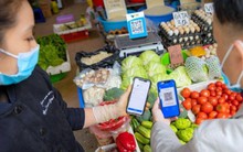 Sử dụng thủ thuật né truy thu thuế, có thể bị truy cứu trách nhiệm hình sự