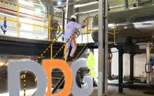 Xuất nhập khẩu Đông Dương ‘khất nợ’ hơn 380 tỷ đồng gốc, lãi trái phiếu