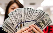 Ngày 5/6: Ngân hàng Nhà nước giảm tỷ giá USD, nhiều ngân hàng tăng giá mua đô