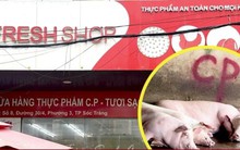 Chủ tịch Sóc Trăng ra công văn hỏa tốc vụ Công ty C.P. bị tố bán thịt heo bẩn
