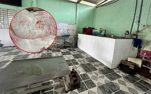 Lý do nhân viên thú y đóng dấu kiểm dịch sai trên heo bệnh của Công ty C.P., hé lộ về ao cá tiêu hủy heo