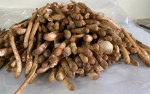 Chỉ xuất hiện mỗi năm 1 lần, loại “lộc trời” thành đặc sản của Việt Nam, bán 1 triệu/kg nhưng vẫn có người mua ầm ầm