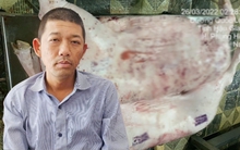 Người tố công ty C.P bán heo bệnh đã nhận được bao nhiêu tiền từ BHYT?