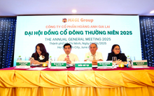 Ứng viên được nhóm Thaigroup và LPBS để cử vào HĐQT Hoàng Anh Gia Lai đã rút hồ sơ