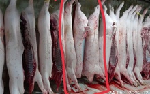 Vụ tố cửa hàng C.P. Việt Nam: Ông L.Q.N lại tung thêm bằng chứng?