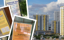 TP HCM: Dịch vụ cho thuê căn hộ ngắn ngày ở chung cư  sắp hoạt động trở lại?