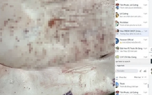 Chủ tịch UBND tỉnh Hậu Giang chỉ đạo "nóng" sau vụ C.P. Việt Nam bị "tố" bán thịt heo bệnh