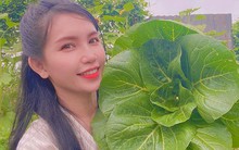 Nghỉ việc văn phòng, người phụ nữ tự gây dựng vườn cây 100m2: Sau 5 năm, không hối hận