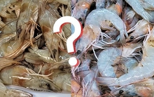 Khi mua tôm, phải “căng mắt” để tránh 5 loại “tôm hormone” độc hại này, người đi chợ lâu năm vẫn dễ nhầm!