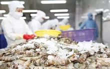 Bất ngờ về thủy sản Việt Nam xuất khẩu