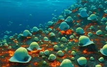 Phát hiện hàng ngàn trứng khổng lồ dưới núi lửa gây chấn động