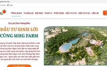 Góp vốn đầu tư, mua kỳ nghỉ - coi chừng sập bẫy!