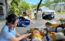 Phát hiện 700kg mực khô đã hư hỏng bị vứt bỏ trên vỉa hè