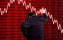 Cổ phiếu VPG giảm sàn phiên thứ 5 liên tiếp sau tin Chủ tịch và Tổng Giám đốc bị bắt