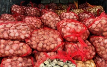 2 người đàn ông vận chuyển 17 tấn ngao, hàu từ biên giới vào trong nước tiêu thụ bị phát hiện