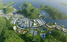 Vinaconex muốn chuyển nhượng 51% vốn chủ đầu tư dự án Cát Bà Amatina