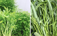 Chuyên gia cảnh báo những loại rau là 'ổ sán', không nên ăn sống