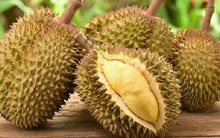 Thêm một đối thủ với sầu riêng Việt Nam ở thị trường Trung Quốc