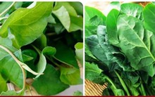 5 loại rau quả thải độc gan tự nhiên