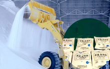 Theo dõi bằng công nghệ cao, cảnh sát triệt phá đường dây sản xuất muối giả chấn động, tịch thu 11 tấn muối chất thành núi