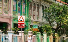 "Tung hoành" Singapore bằng xe buýt: Có đáng thử?