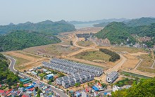 Vinaconex muốn thoái sạch vốn, doanh nghiệp làm dự án Cát Bà Amatina kéo dài hơn 2 thập kỷ đang thế chấp ngân hàng những gì?