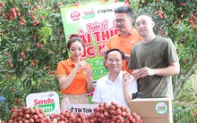 Lần đầu livestream, bán ngay 54 tấn vải thiều: Phó Chủ tịch Bắc Ninh nói gì?