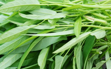 Rau muống dễ nhiễm chì, liệu có cách nào nhận biết?