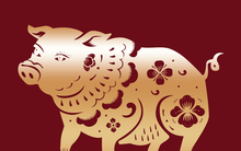 Nửa cuối năm Ất Tỵ 2025, có 4 con giáp hết vận đen, tài lộc dồi dào, công việc thuận lợi, giàu lên bất ngờ